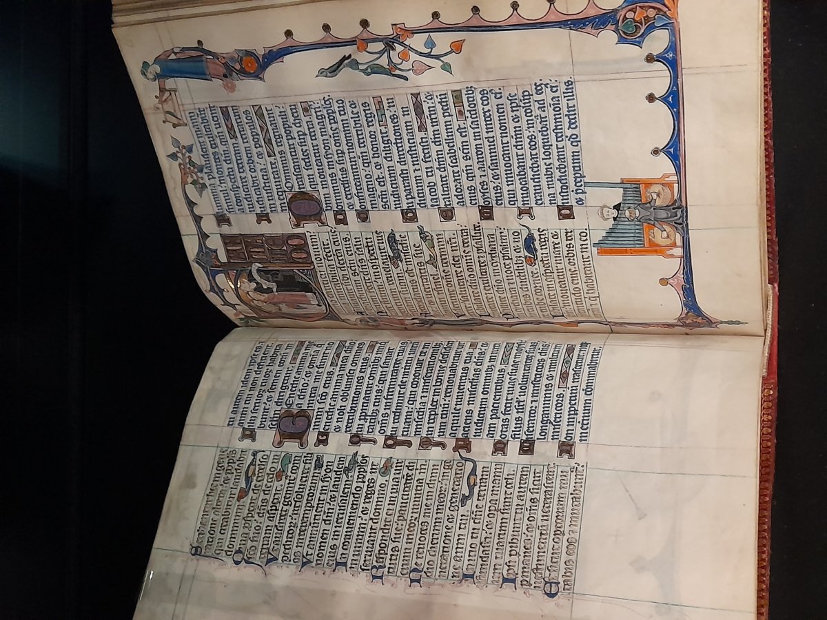 Image de l'actualité Visite de la Bibliothèque royale par les élèves de 5ème latines
